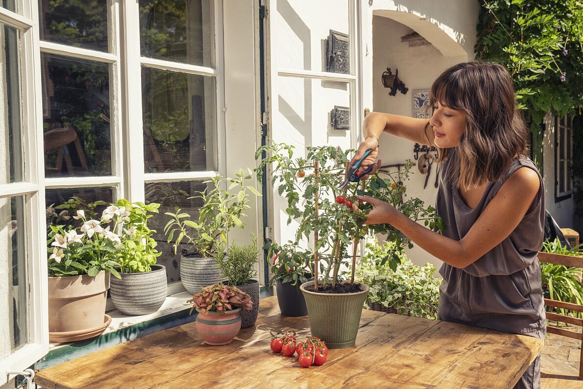 An own small patch of green – a big difference 