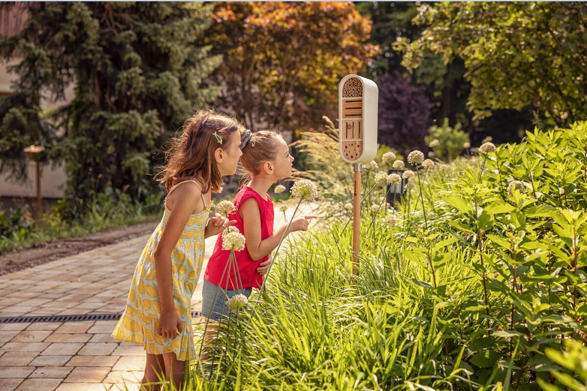 Living Garden Ecosystem
