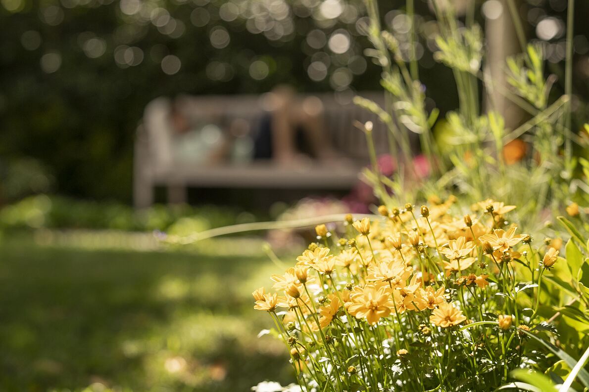 A relaxed approach to the summer garden 