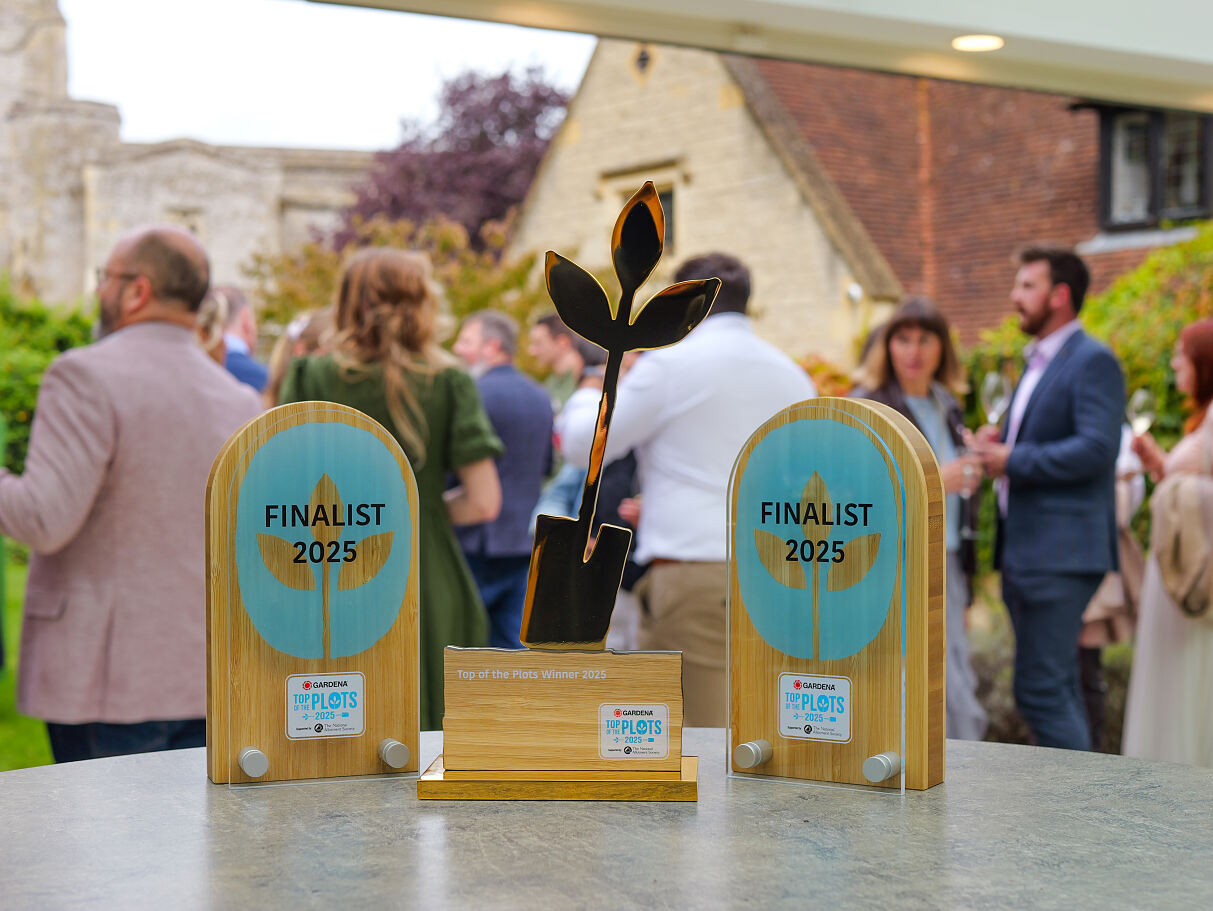Top of the Plots Winners 2025 
