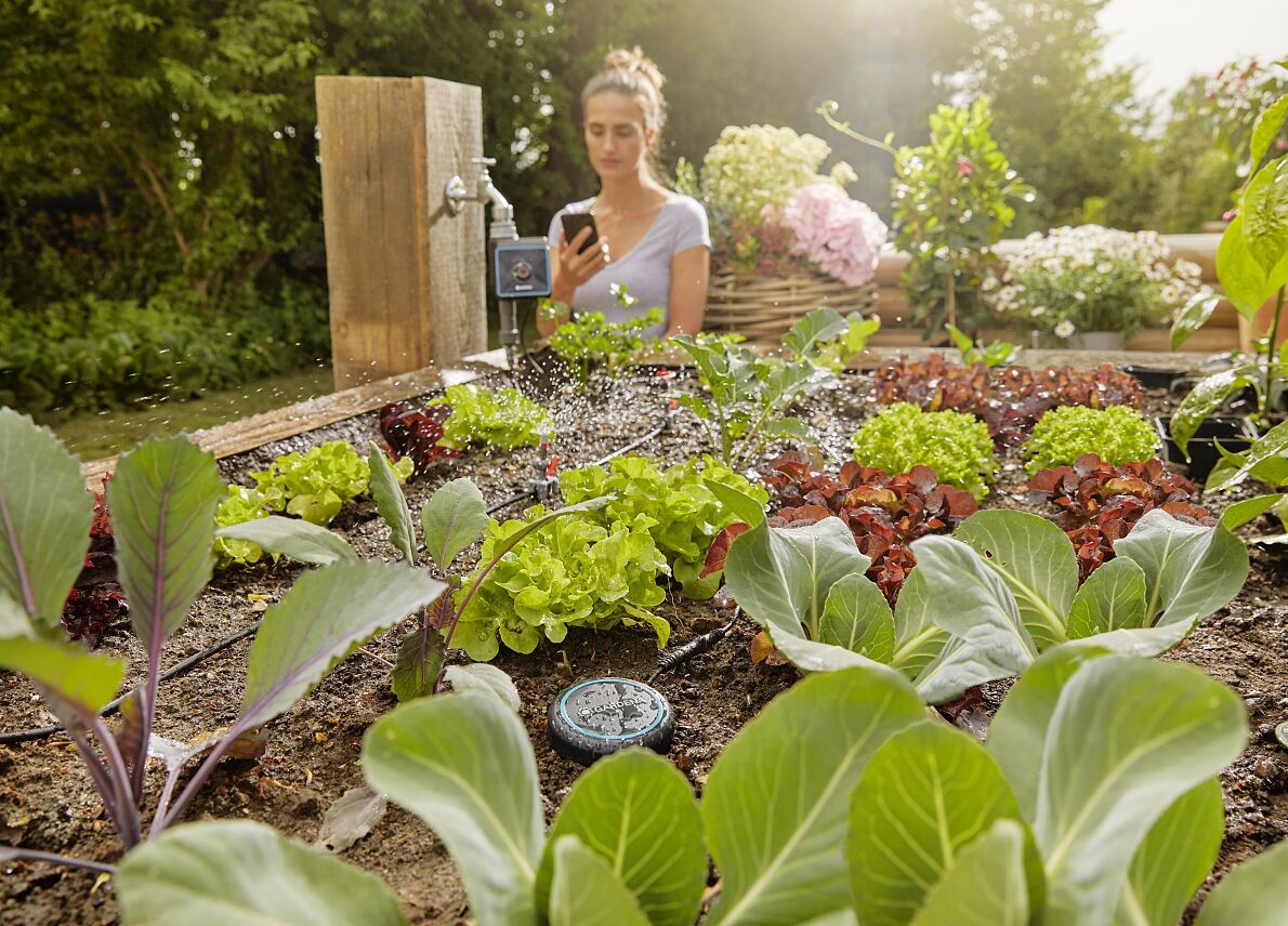 Overwatering garden plants