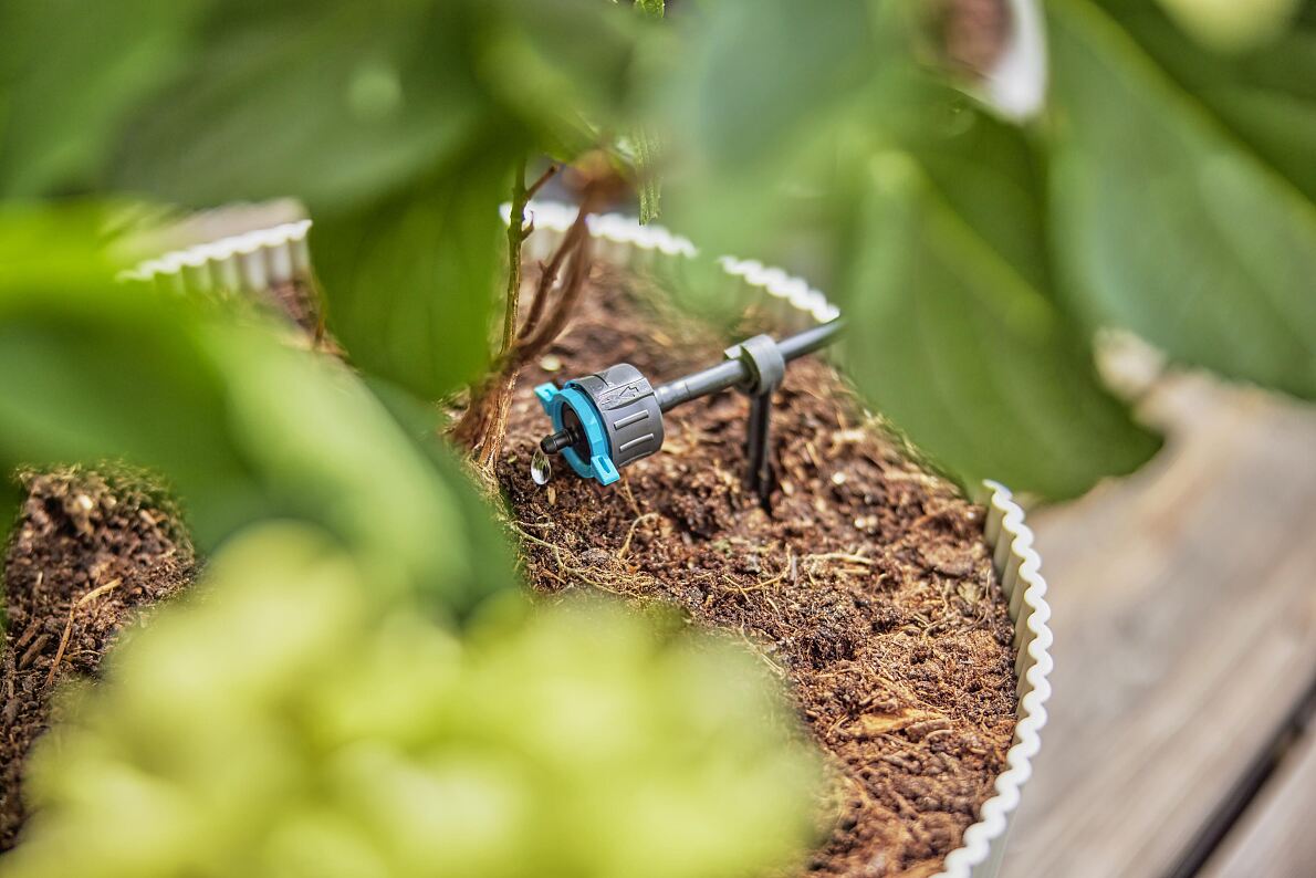 Hitzealarm – Soforthilfe für Garten und Balkon 