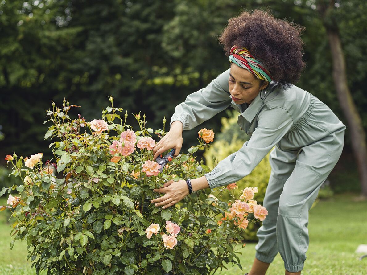 Gardena Secateurs Bypass