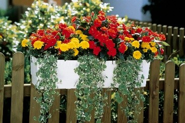Container gardening made easy