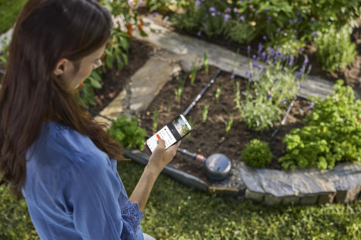 Watering bans in the garden: When thirst becomes the norm