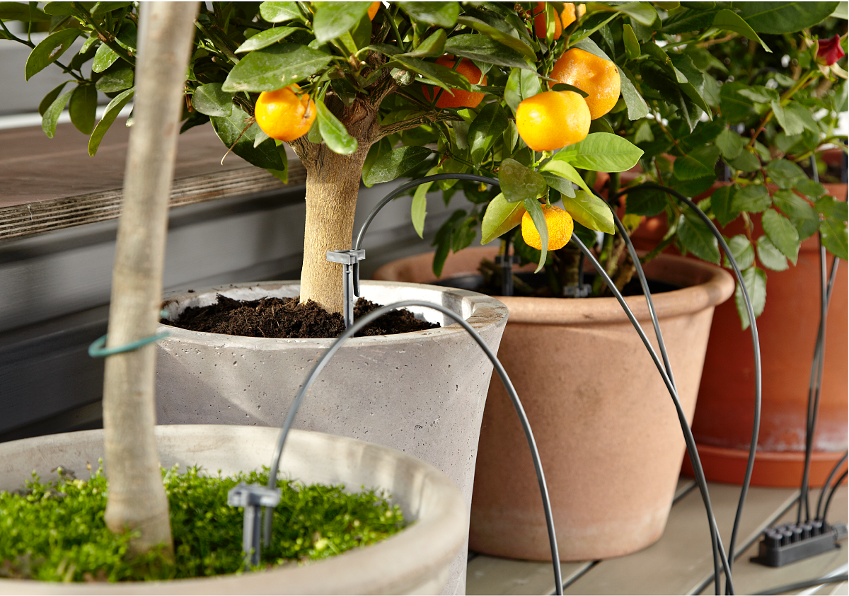 GARDENA’s Micro-Drip System