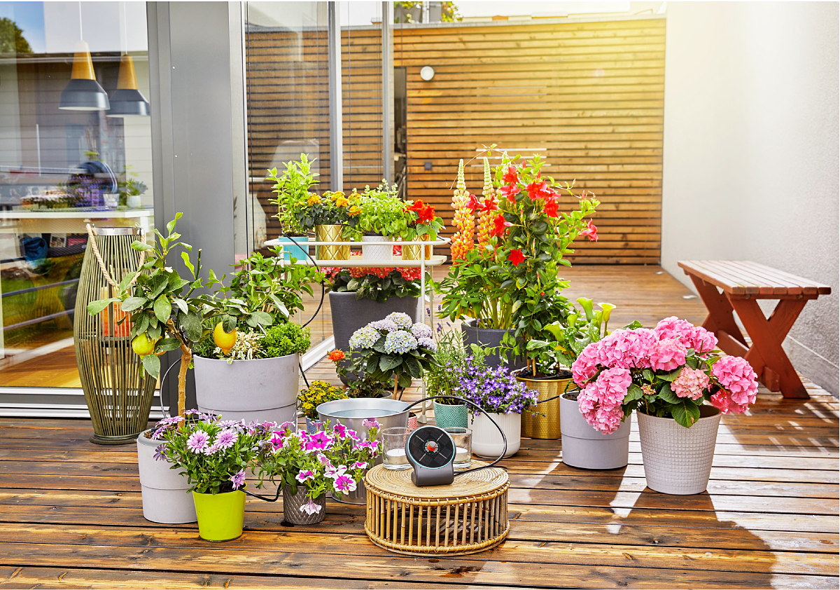 Effortless container watering with GARDENA AquaBloom