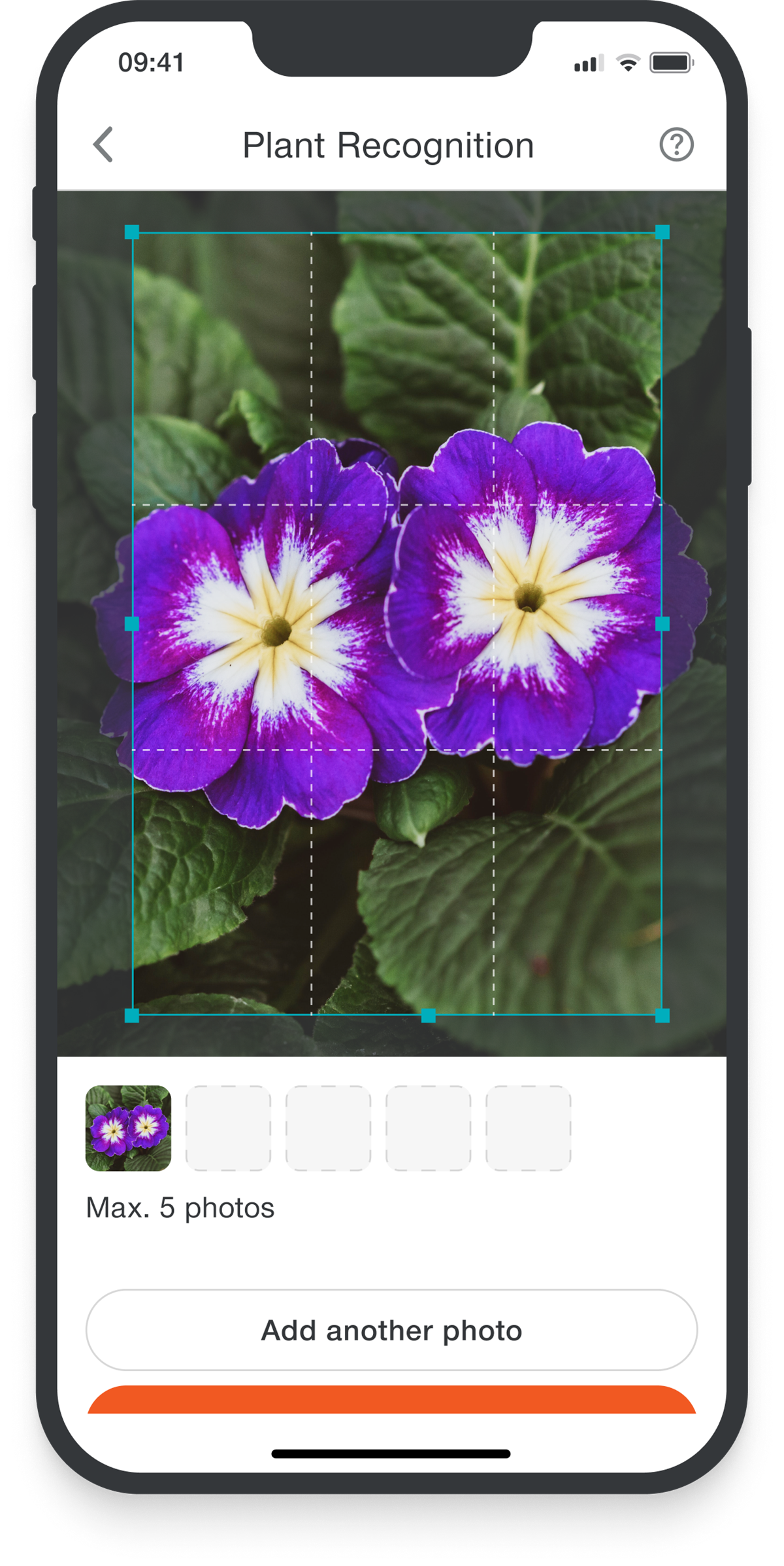 Via photo upload, garden owners can now identify plants unknown to them with one click