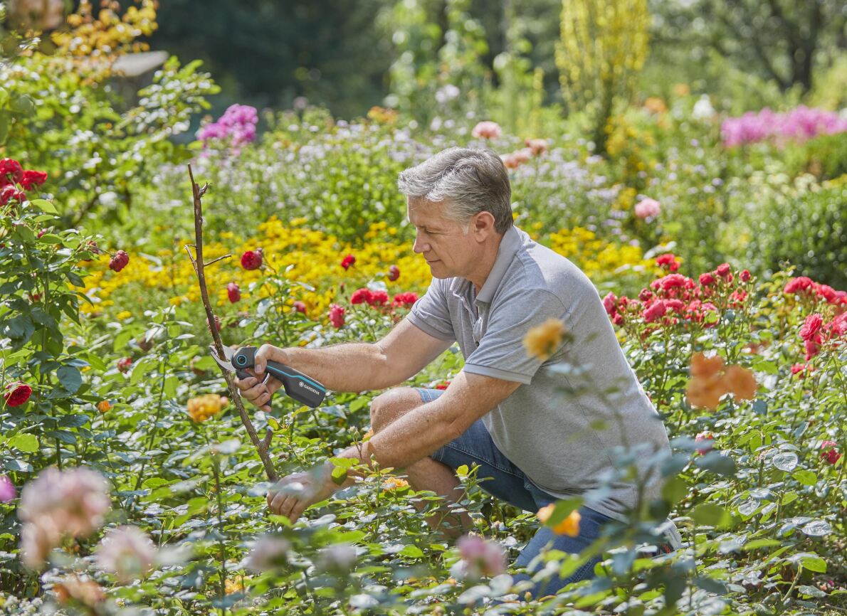 Nowe narzędzia od Gardena ułatwią pielęgnację ogrodu