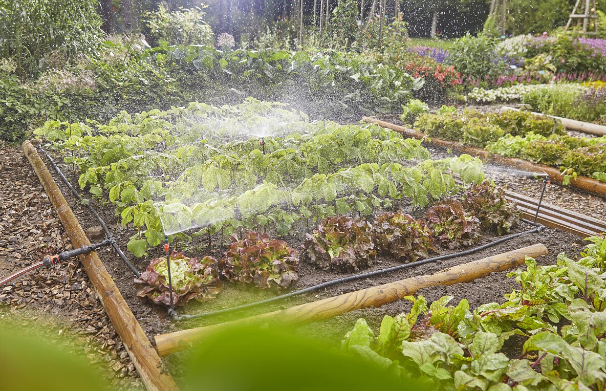 Micro-Drip-Gartenbewässerung