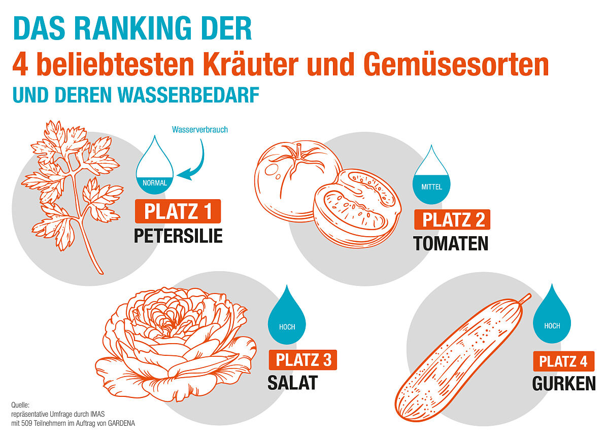 Gardena Infografik Gemüsearten und deren Wasserverbrauch