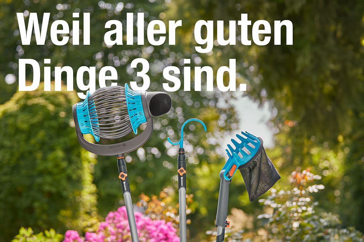 Aller guten Dinge sind 3