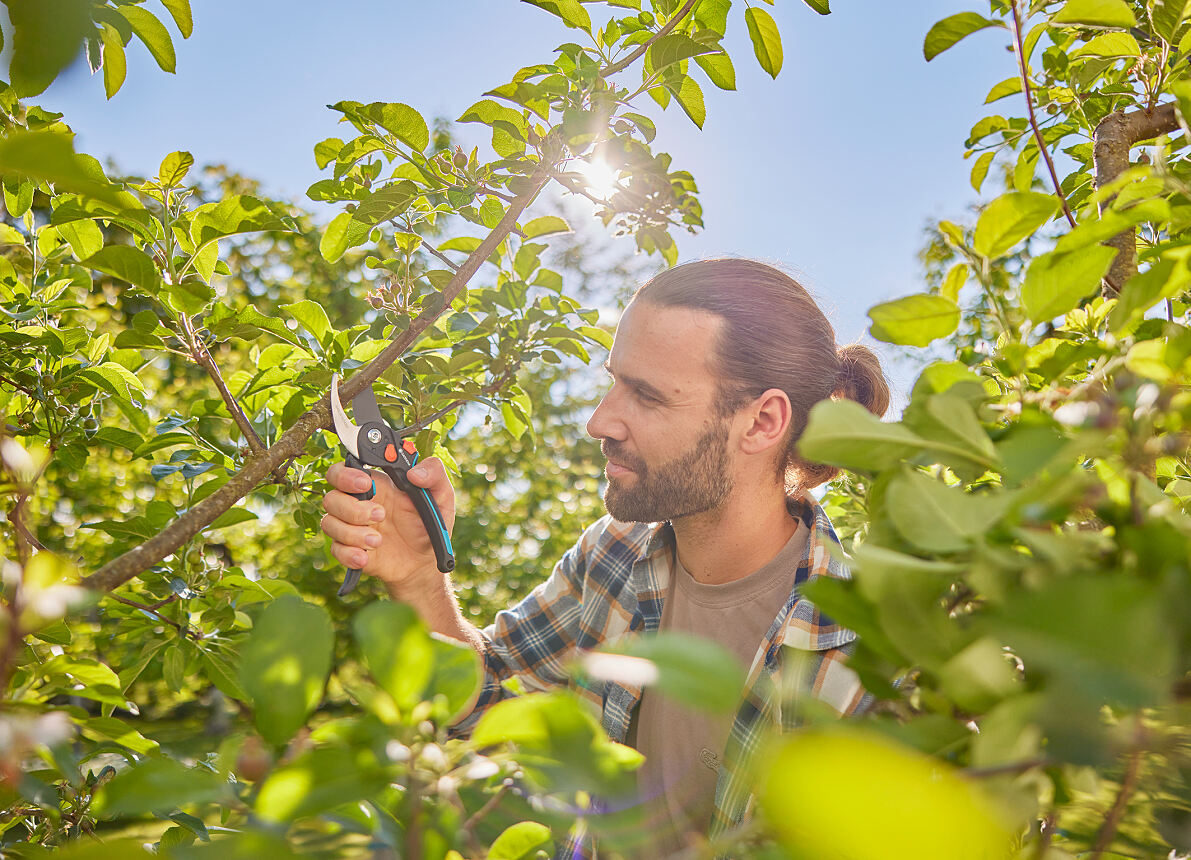 The new GARDENA secateurs