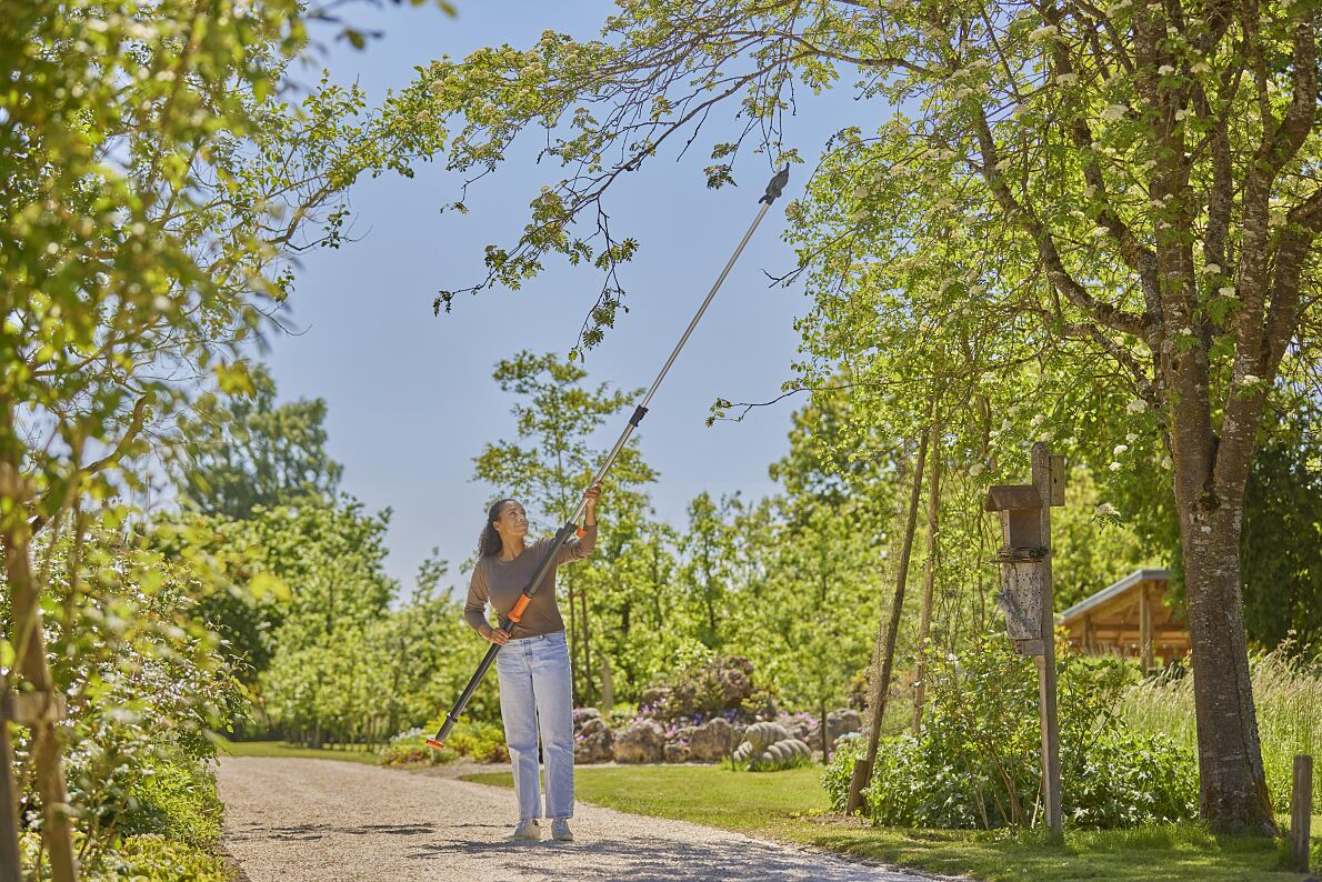 Garden maintenance with foresight