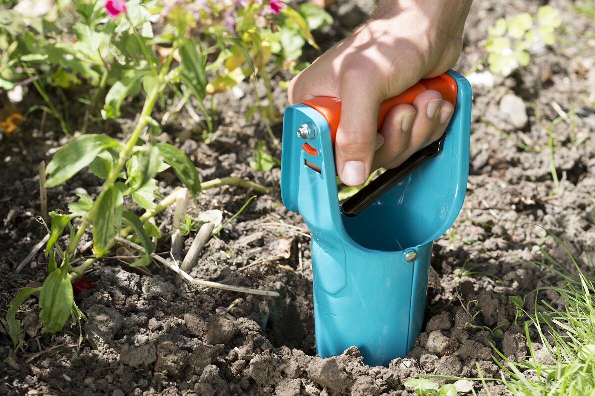 Garden maintenance with foresight